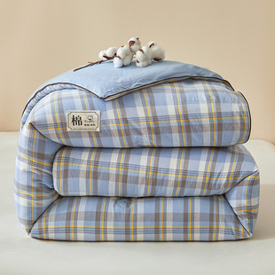 Class A maternal and infant grade Xinjiang cotton quilt thickened warm student dormitory winter quilt spring and autumn quilt four seasons quilt core wholesale