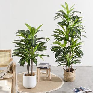 Artificial tree Brazil bonsai artificial green plant Brazil iron floor bonsai indoor home soft decoration artificial plant