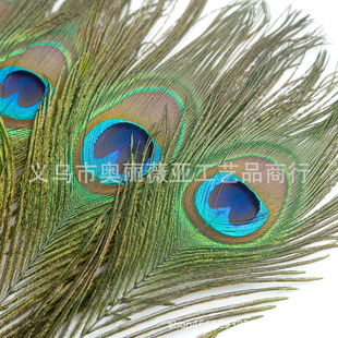 in stock Peacock Feather Vase Flower Arrange Stage Clothing Big Eyes Handmade DIY Jewelry Feather Peacock Hair Wholesale