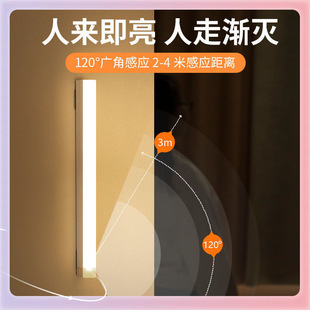 ✅ Led Human Body Sensor Lamp Magnetic Charging Wine Cabinet Wardrobe Lamp Student Dormitory Night Light Cross-Border Strip Lamp Batch