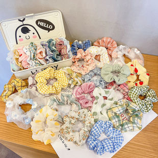 Summer Pig Intestine Hair Ring Women's High-end Hair Rope 2024 New Style Hair Hair Accessories Rubber Band Hair Rope Headwear