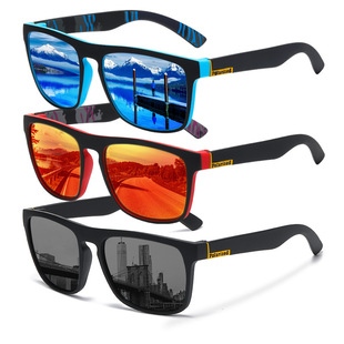 D731 Polarized Sunglasses Riding Sports Sunglasses UV Protection Driving Goggles Men's P21 Sunglasses Elastic Paint