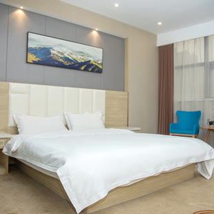 Pure White Encrypted Thickened Hotel Three-piece Set Four-piece Set Extra-thick Hotel Homestay Bedding