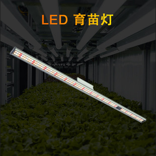 led tissue culture lamp seedling pot plant hydroponic lamp seedling supplementary light growth lamp cultivation full spectrum plant lamp strip