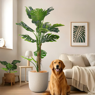 INS Wind Turtle Tree Fake Potted Plant Simulation Turtle Bamboo Simulation Green Plant Bonsai Nordic Style Fake Tree Bonsai