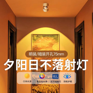 Sunlight Spotlight Wash Wall Adjustable Angle Household Living Room Hallway Photo Painting Atmosphere Lighting Shop Lighting