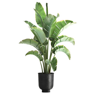 New three-dimensional simulation banana leaf potted wall sticker living room bedroom hallway corridor wall sticker ZC-391-053