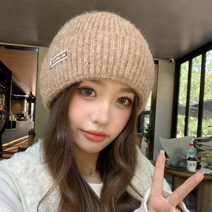 Korean Style New Autumn and Winter Hat Women's Blended Wool Knitted Woolen Hat Winter Warm Student Pullover Hat Trendy