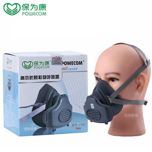 BaoWeiKang 3600 Gas Mask Activated Carbon Anti-formaldehyde Spray Paint Chemical Gas Anti-odor Mask Mask