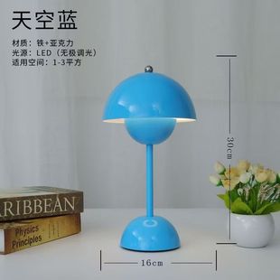 Cross-border E-commerce usb Rechargeable Night Light Scandinavian Bud Table Lamp Bedroom Bedside Lamp Touch Eye Protection Study Table Lamp
