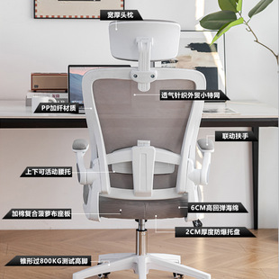 Computer Chair Sedentary Home Study Chair Comfortable Office Chair Study Desk Student Chair Backrest Ergonomic Chair