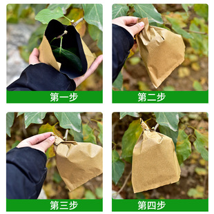 Special Bag for Loquat Bagging, Loquat Bagging, Mango Bagging, Manufacturer Fruit Bag, Fruit Bagging, Insect-proof Bird Waterproof and Sun-proof
