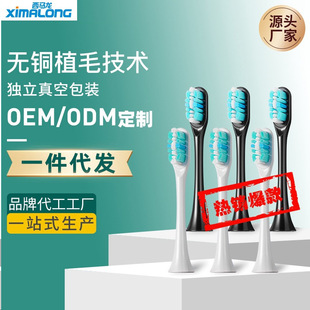 Оптовая Продажа с фабрики Ximaron оригинальная насадка для электрической зубной щетки без меди для посадки волос DuPont сменная насадка для зубной щетки S08