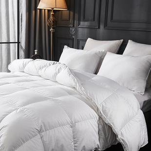 80 White Goose Down Quilt Core Five-star Hotel Summer Air-conditioning Quilt Comfort Hotel Bedding Hotel