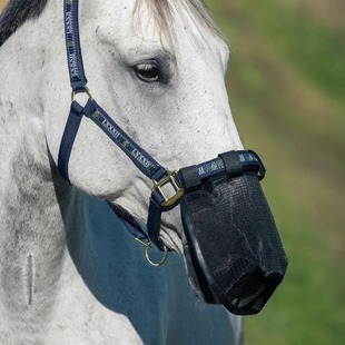 Cross-border Hot-selling Anti-mosquito Protective Cover for Horse Nose Durable Mesh Cover for Animal Nose Anti-mosquito Nose Cover