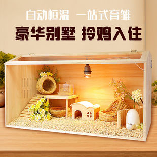 Rutin Chicken Feeding Box Full Set Breeding Hamster Golden Bear House Solid Wood Luxury Constant Temperature Landscape Large Villa