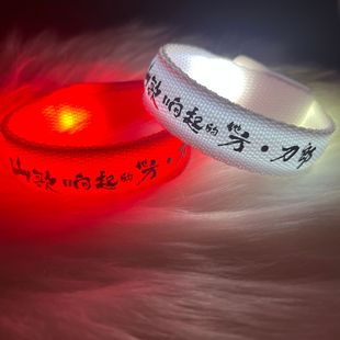 Dao Lang Should Aid Luminous Bracelet Concert Should Aid Surrounding Fans to Support Activities Wrist Strap Should Aid Fluorescent Stick