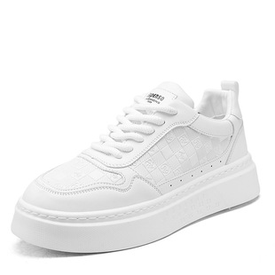 Korean Printed Men's Shoes 2024 Autumn All-match Fashionable Sports Thick Sole Increased All-match Casual Skate Shoes for Men
