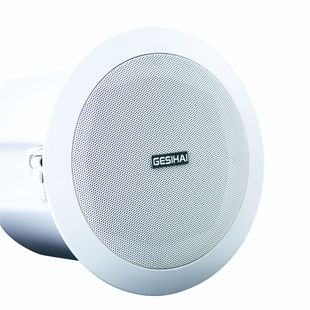 Wireless Bluetooth Ceiling Speaker Supermarket Shop Ceiling Embedded 3D Background Music Active Ceiling Speaker