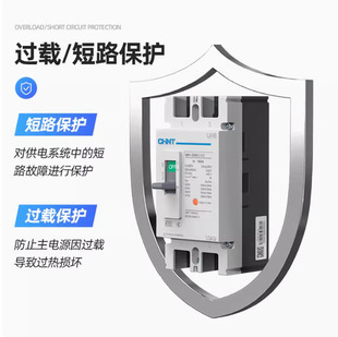Nm1-2P Chint Molded Case Circuit Breaker Air Switch Nm1-125S 250S/2300G Two-Pole Molded Case Air Switch