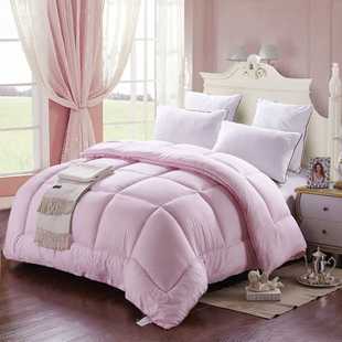 Hotel Hotel Thickened Quilt Winter Sanding Student Quilt Four Seasons Warm Single Spring and Autumn Double Core Winter Quilt