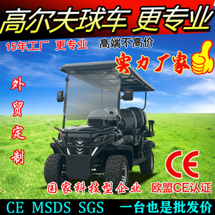 Electric fuel golf cart sightseeing bus 24/6/8 scenic park hotel sales office car ferry exit