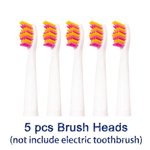 Compatible electric toothbrush Fairywill SEAGO FW-D1/D3/D7/D8/507/508 toothbrush head