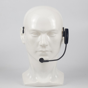 2.4G Headset Wireless Microphone Teacher's Special Bee Loudspeaker Headset Conference Speech USB Microphone