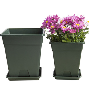 Thickened Square High Breathable Root Control Pot Nordic Plastic Flower Pot Fleshy Flower Plant Pot Factory Direct Sale