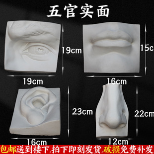 Plaster Statue of David Plaster Statue Ornaments Art Teaching Aware Venus Xiaowei Pirate European and American Decorations Sculpture Ornaments
