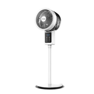 Esoga Electric Fan Air Circulation Fan Floor Fan Household Turbo Convection Fan Shaking Head Quiet Desktop Vertical