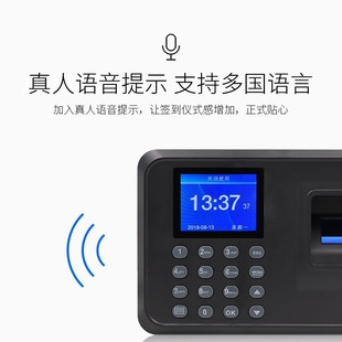 Card-catching Machine Dongwei F01 Chinese and English Upper and Lower Classes Company Employee Smart Finger Pattern Sign-in Report Attendance Machine