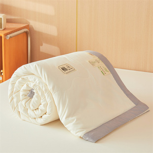Summer Xinjiang Cotton Summer Quilt Air-conditioning Quilt Summer Cool Quilt Cotton Quilt Spring and Autumn Quilt Cotton Blow Color-matching Quilt Core Machine Washable