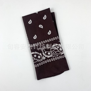 Cross-border wholesale 28g thick sanding polyester cashew flower square Bandana hip-hop outdoor riding scarf