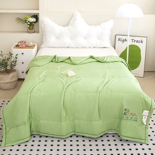 Raw Cotton Soybean Class A Summer Quilt Air Conditioning Quilt Thin Single Double Summer Cool Quilt Wholesale Summer Quilt Core Gift