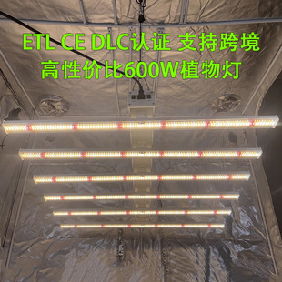 Zhongzhi Valley plant growth lamp dimmable growlight farm planting 600W full spectrum LED plant lamp