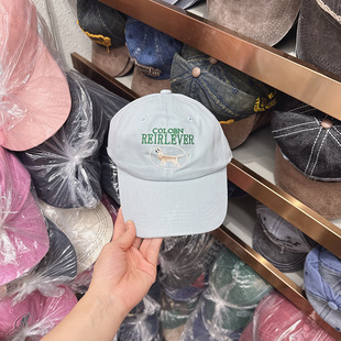 Wholesale South Korea 2024 new cartoon puppy embroidery letters baseball cap soft top sanding face small cap