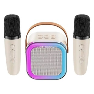 Family karaoke bluetooth speaker KTV karaoke wireless dual microphone all-in-one karaoke audio children's suit