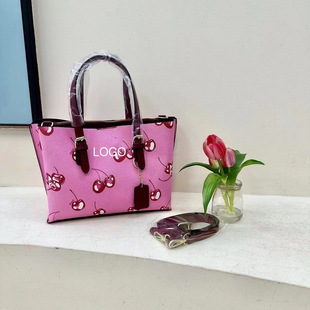 Cross-border 2024 Autumn New All-match Fashion Personalized Handbag Simple Niche Printed Crossbody Bag