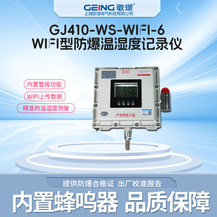 GJ410-WS-WIFI-6 высокоточный ЖК-экран с беспроводной передачей и взрывозащищенным регистратором температуры и влажности