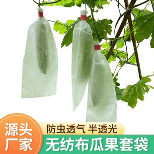 Non-woven balsam pear bag towel gourd bag horn honey bag wax gourd bag watermelon bag insect-proof bag special bag