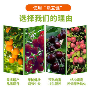 Tu Lijian Fruit Trees Improve Immune Quality, Increase Yield and Long Tree Potential Special Supplemental Nutrition Water Soluble Fertilizer Containing Amino Acids