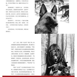 Двуязычная серия романов о животных Shen Shixi