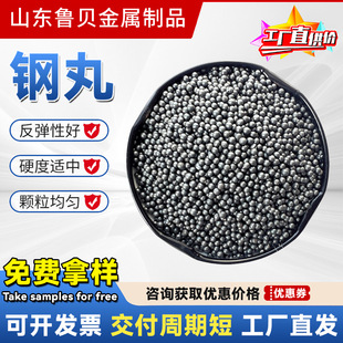 Steel Shot S460 Manufacturer Shot Blasting Machine Special Polishing Wear-Resistant Rust Removal Secondary Quenching Sandblasting Machine Steel Shot Steel Sand
