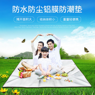 Outdoor Moisture-Proof Mat Double Multi-Person Outing Aluminum Foil Picnic Mat Waterproof Mat Beach Park Cushion Tent Moisture-Proof Mat
