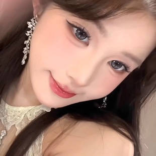 French Style Noble Feeling silver Leaf Long Tassel Earrings Retro Light Luxury High-end Sense Zircon Earrings Women's Delicate Earrings