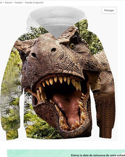 AliExpress new dinosaur series 3D digital printing dinosaur pattern children's casual hooded sweater