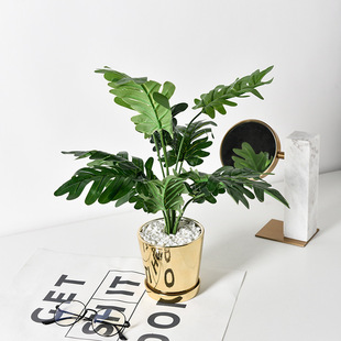 Nordic ins creative light luxury Turtle leaf green plant bonsai floor window model room decorative plant bonsai ornaments