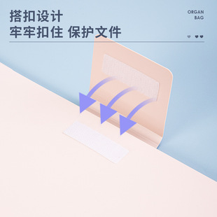 Deli 72611 Organ Pack 5-Grid Держатель для тестовой бумаги Портативная книга для документов A4 Вставка Многофункциональный Органайзер
