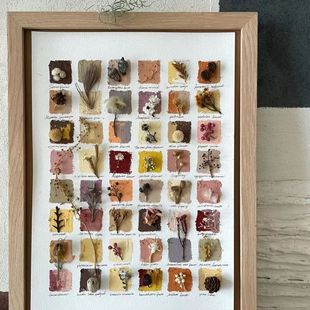 Handmade Small Things Hollow Dried Flowers Plant Immortal Flowers Specimen Picture Frame Material Package Desktop Small Ornaments